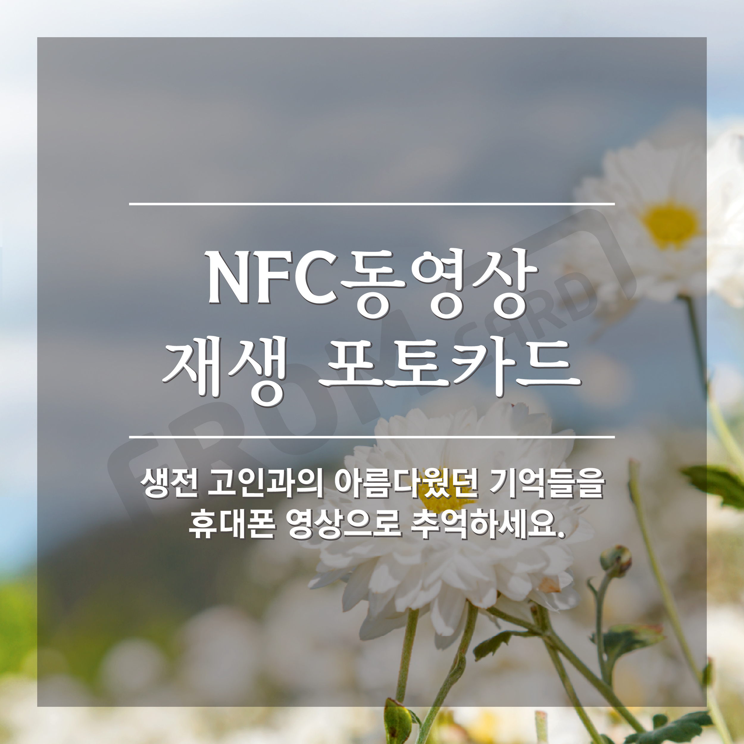 nfc 동영상 재생 포토카드