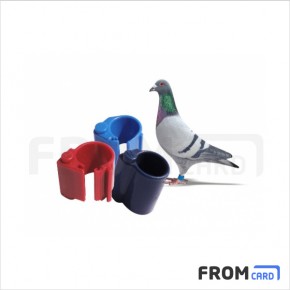 [R9-14] Pigeon Tag